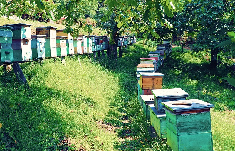 The beehive is referred to as a fixed frame since it was cross-attached