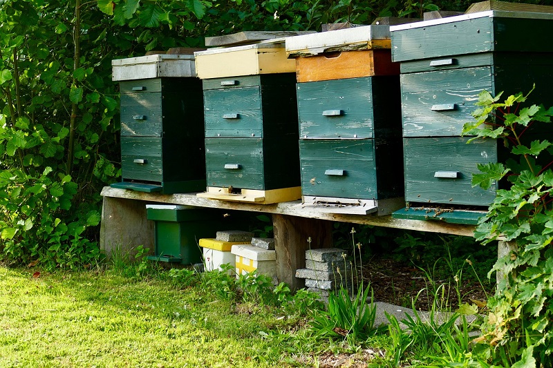 Traditional Beehives