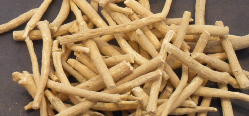 Ashwagandha can help with anxiety