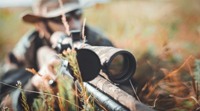 Tips for Successful Wild Pig Hunting Trip