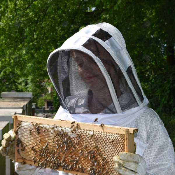 Short Guide for Choosing the Best Beekeeper Jacket