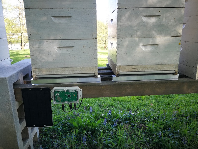 Weighing Your Beehive and Ideal Hive Placement