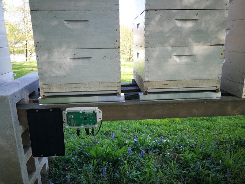 Weighing a beehive